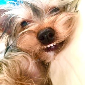 Meet your Posher, Kent